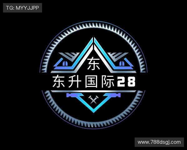 手册东升国际28